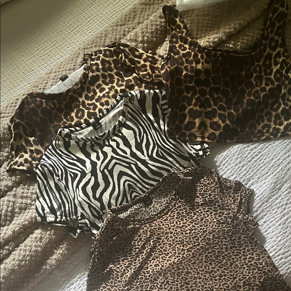 Animal Print Crop Tops Set